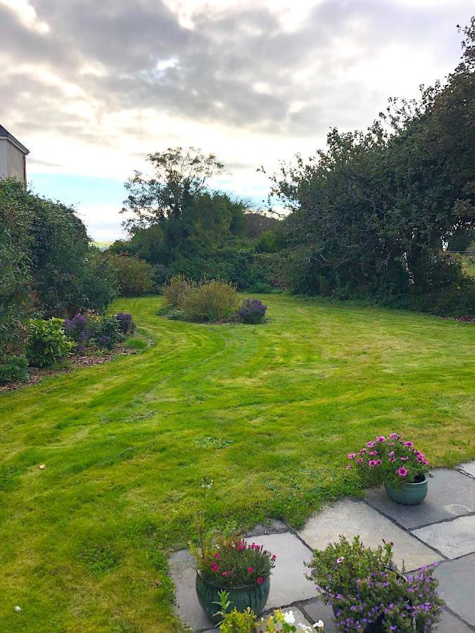 Dingle Garden Townhouse Bed and Breakfast Exteriör bild The garden of the house