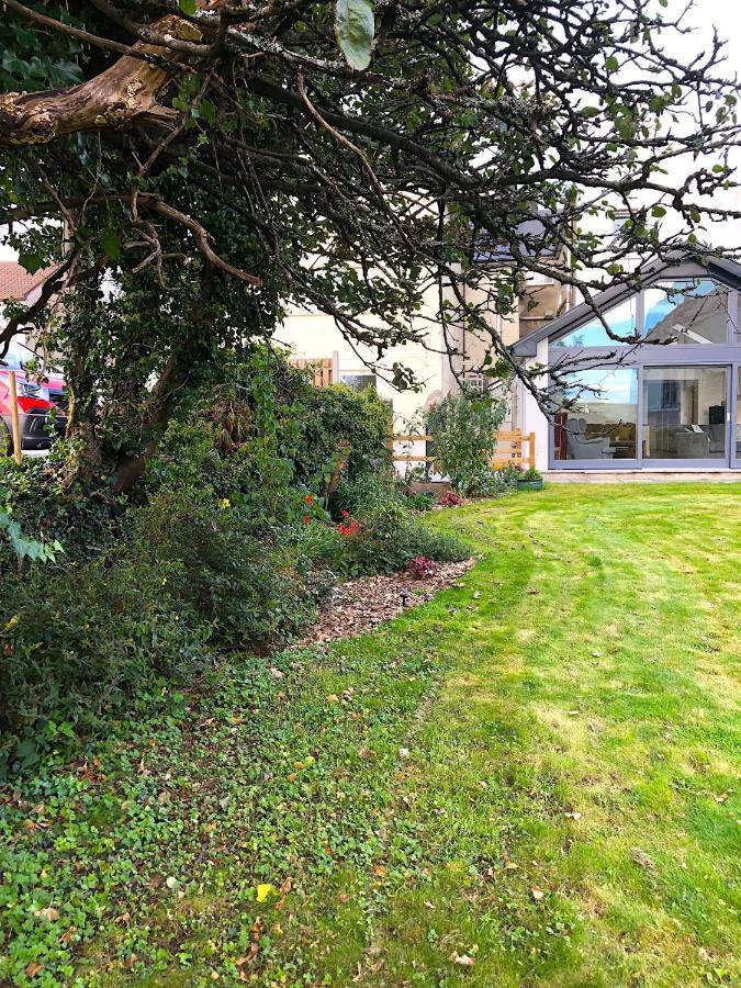 Dingle Garden Townhouse Bed and Breakfast Exteriör bild The garden of the house