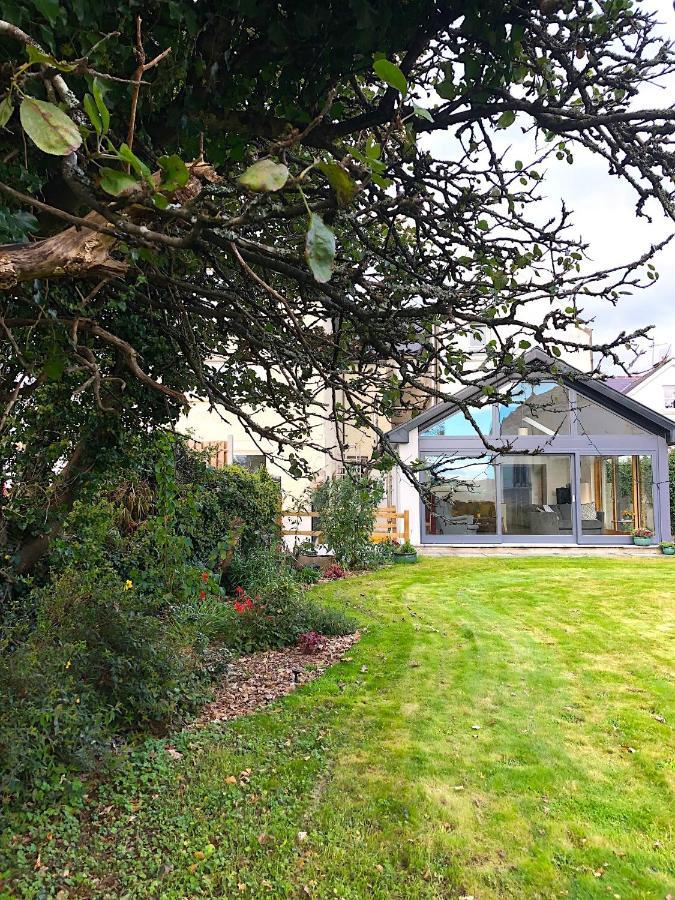Dingle Garden Townhouse Bed and Breakfast Exteriör bild The garden of the house